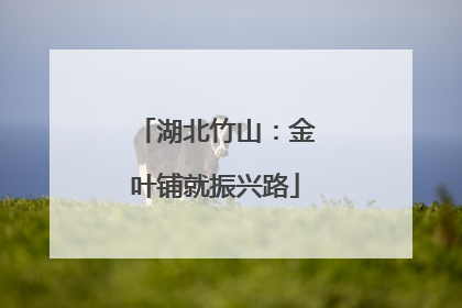 湖北竹山：金叶铺就振兴路