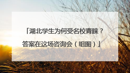 湖北学生为何受名校青睐？答案在这场咨询会（组图）