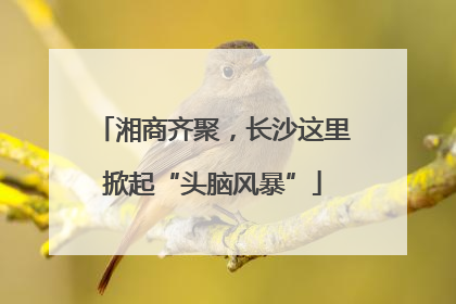 湘商齐聚，长沙这里掀起“头脑风暴”