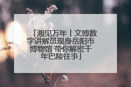 湘见万年丨文博数字讲解员现身岳阳市博物馆 带你解密千年巴陵往事