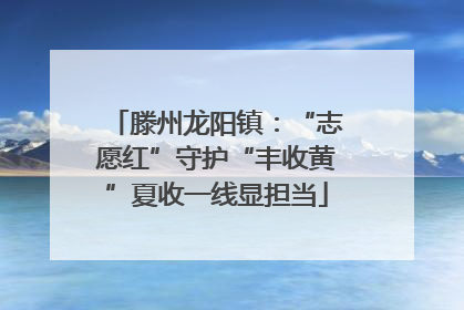 滕州龙阳镇：“志愿红”守护“丰收黄”夏收一线显担当