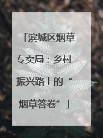 滨城区烟草专卖局：乡村振兴路上的“烟草答卷”