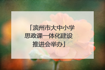 滨州市大中小学思政课一体化建设推进会举办