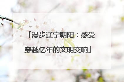 漫步辽宁朝阳：感受穿越亿年的文明交响