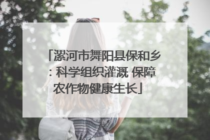 漯河市舞阳县保和乡：科学组织灌溉 保障农作物健康生长