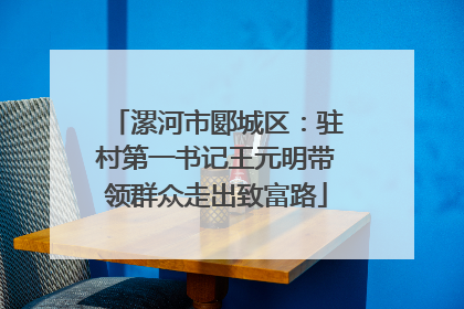 漯河市郾城区：驻村第一书记王元明带领群众走出致富路