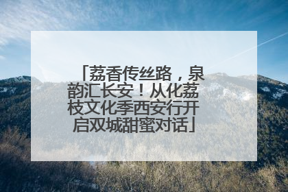 荔香传丝路，泉韵汇长安！从化荔枝文化季西安行开启双城甜蜜对话