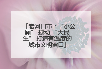 老河口市：“小公厕” 撬动 “大民生” 打造有温度的城市文明窗口