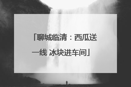 聊城临清：西瓜送一线 冰块进车间