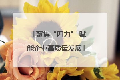 聚焦“四力” 赋能企业高质量发展