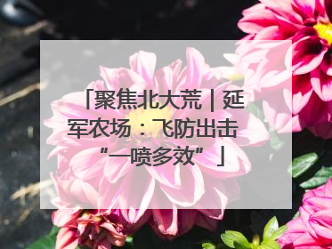 聚焦北大荒｜延军农场：飞防出击 “一喷多效”