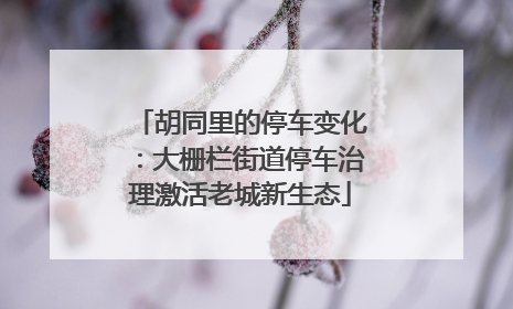 胡同里的停车变化：大栅栏街道停车治理激活老城新生态