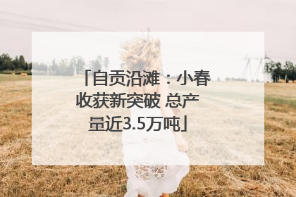自贡沿滩：小春收获新突破 总产量近3.5万吨