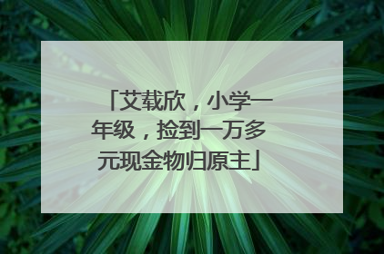艾载欣，小学一年级，捡到一万多元现金物归原主