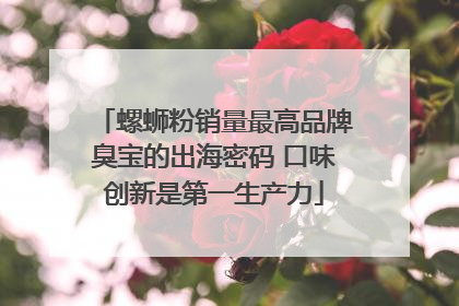 螺蛳粉销量最高品牌臭宝的出海密码 口味创新是第一生产力