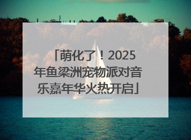 萌化了！2025年鱼梁洲宠物派对音乐嘉年华火热开启