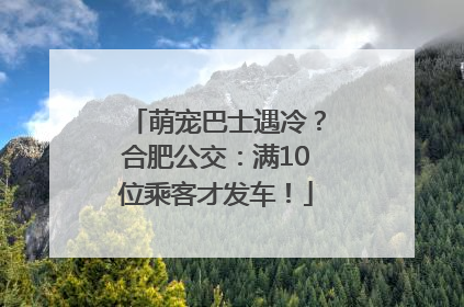 萌宠巴士遇冷？合肥公交：满10位乘客才发车！