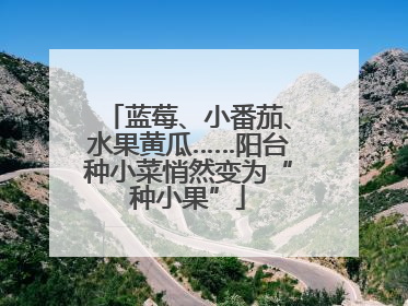 蓝莓、小番茄、水果黄瓜……阳台种小菜悄然变为“种小果”