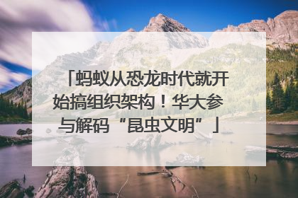 蚂蚁从恐龙时代就开始搞组织架构！华大参与解码“昆虫文明”