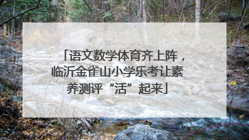 语文数学体育齐上阵，临沂金雀山小学乐考让素养测评“活”起来