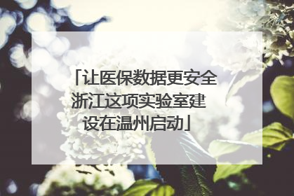 让医保数据更安全 浙江这项实验室建设在温州启动