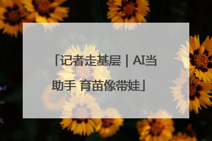 记者走基层｜AI当助手 育苗像带娃
