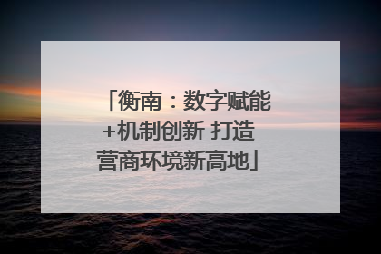 衡南：数字赋能+机制创新 打造营商环境新高地
