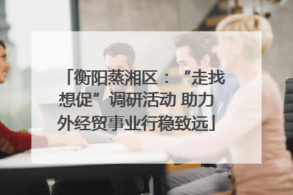衡阳蒸湘区：“走找想促”调研活动 助力外经贸事业行稳致远