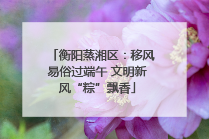 衡阳蒸湘区：移风易俗过端午 文明新风“粽”飘香