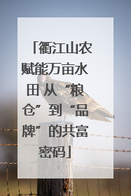 衢江山农赋能万亩水田 从“粮仓”到“品牌”的共富密码