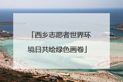 西乡志愿者世界环境日共绘绿色画卷