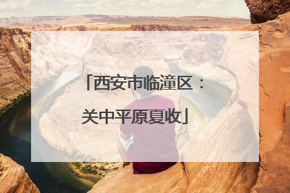 西安市临潼区：关中平原夏收