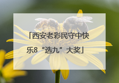 西安老彩民守中快乐8“选九”大奖