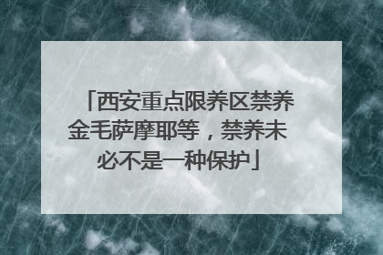 西安重点限养区禁养金毛萨摩耶等，禁养未必不是一种保护