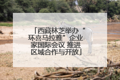 西藏林芝举办“环喜马拉雅”企业家国际会议 推进区域合作与开放