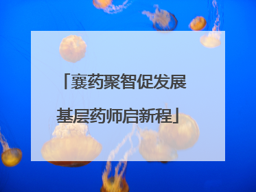 襄药聚智促发展 基层药师启新程