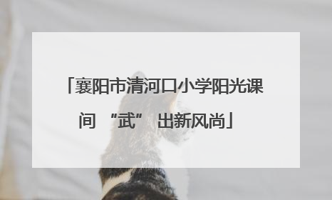 襄阳市清河口小学阳光课间 “武” 出新风尚