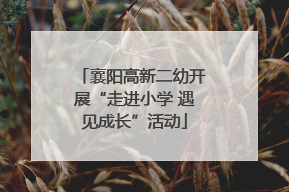 襄阳高新二幼开展“走进小学 遇见成长”活动