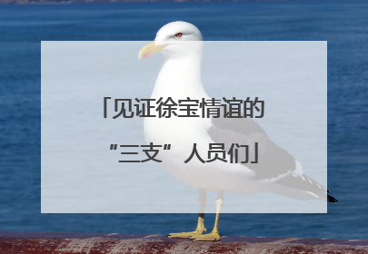 见证徐宝情谊的“三支”人员们