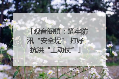 观音阁镇：筑牢防汛“安全堤” 打好抗洪“主动仗”