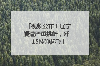 视频公布！辽宁舰遭严重挑衅，歼-15挂弹起飞