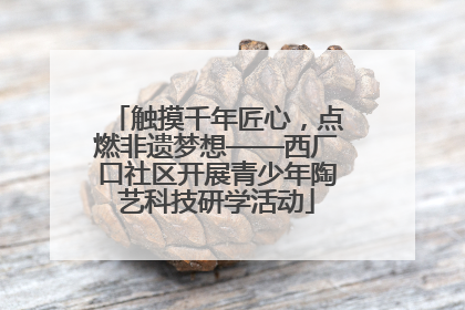 触摸千年匠心，点燃非遗梦想——西厂口社区开展青少年陶艺科技研学活动