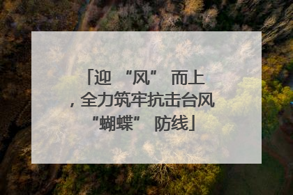 迎 “风” 而上，全力筑牢抗击台风 “蝴蝶” 防线