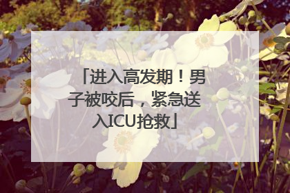 进入高发期！男子被咬后，紧急送入ICU抢救