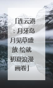 连云港：月牙岛月见草盛放 绘就初夏浪漫画卷
