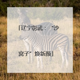 辽宁彰武：“沙窝子”焕新颜