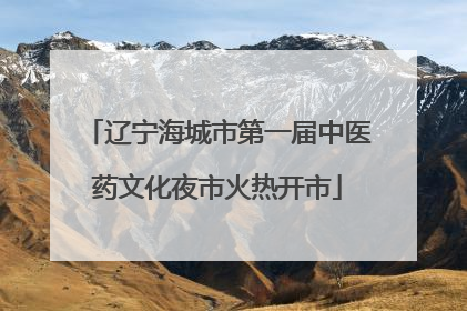 辽宁海城市第一届中医药文化夜市火热开市