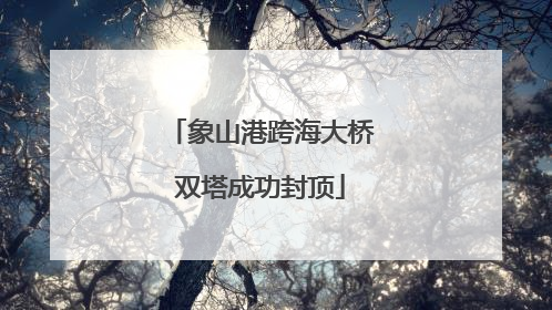 象山港跨海大桥双塔成功封顶