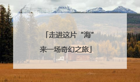 走进这片“海”来一场奇幻之旅