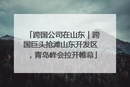 跨国公司在山东｜跨国巨头抢滩山东开发区，青岛峰会拉开帷幕